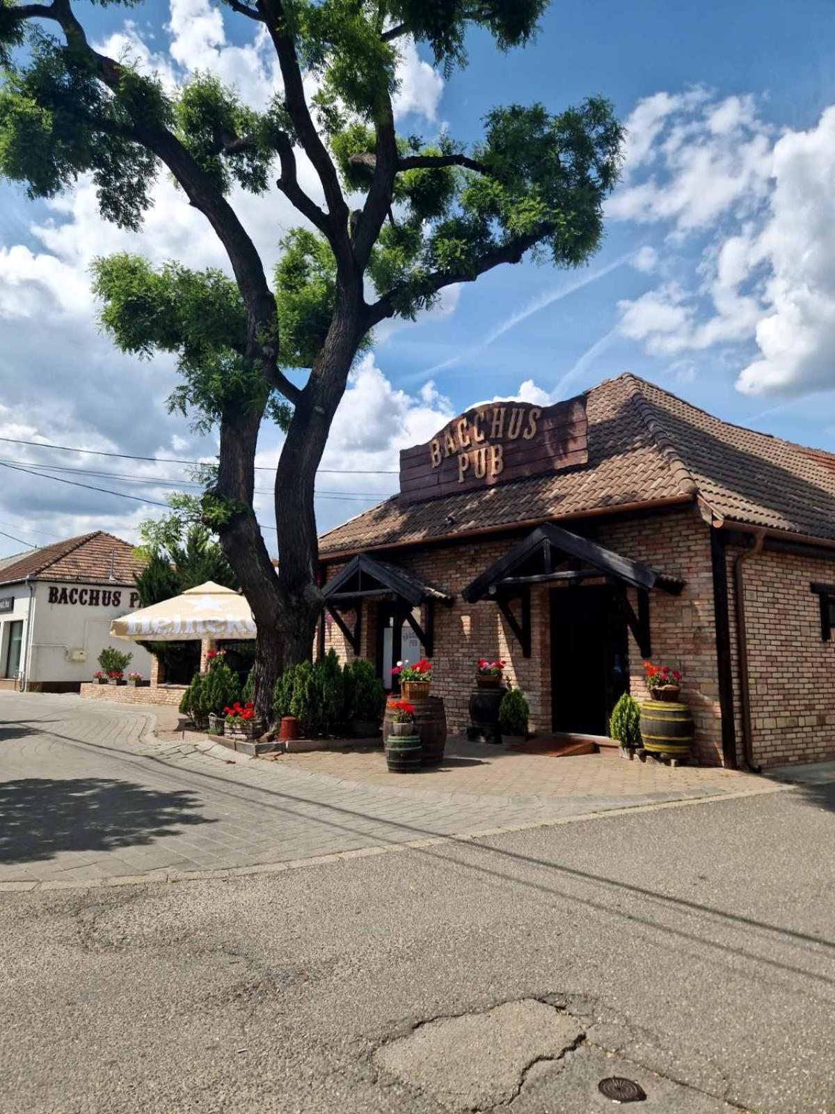 Bacchus Pub Es Panzio Bed & Breakfast ดูนาฮาราสติ ภายนอก รูปภาพ